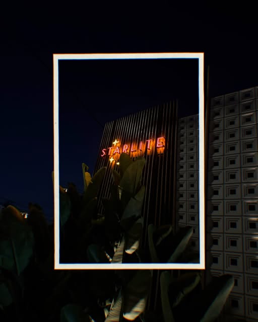 Starlite neon sign glowing at night, framed by plants