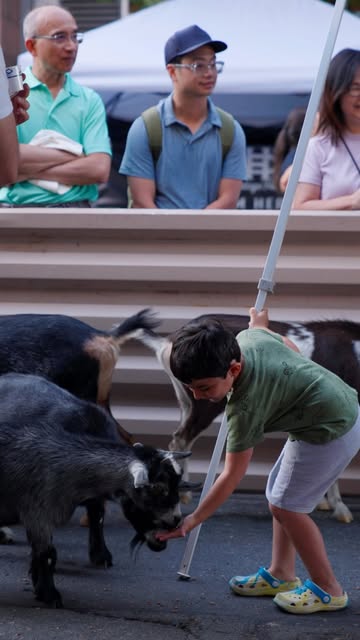Kids feeding goats at a street event pop-up