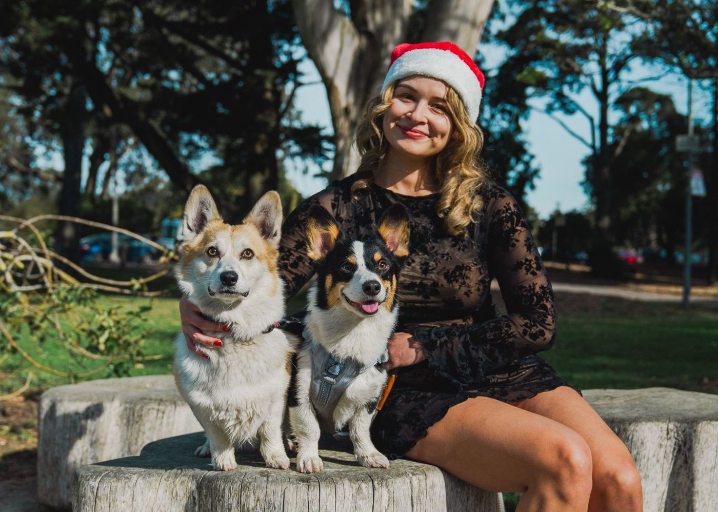 Woman sitting on a bench with both corgis beside her