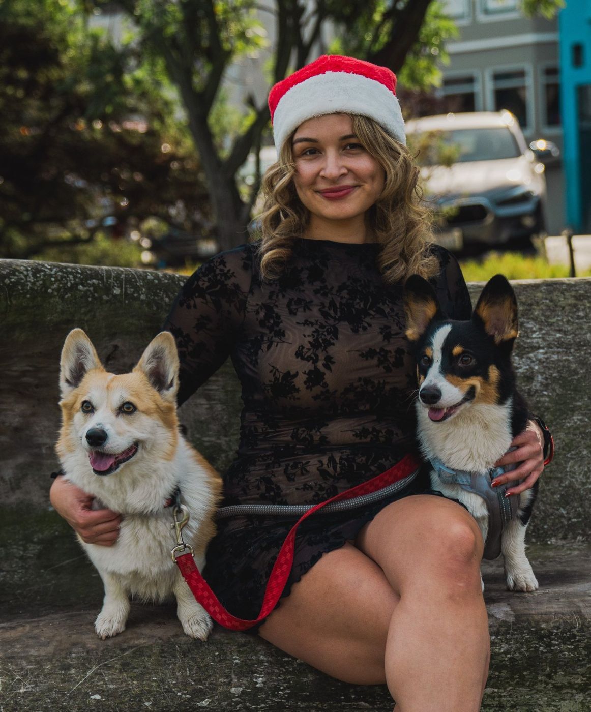 Woman sitting on a stone ledge with her two corgis