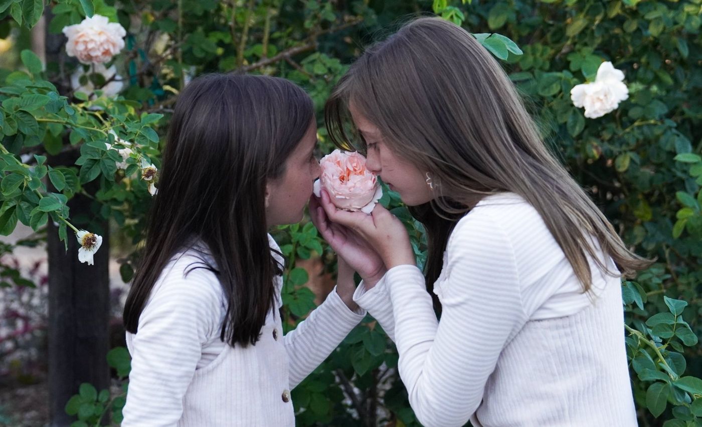 Two sisters smelling a rose together