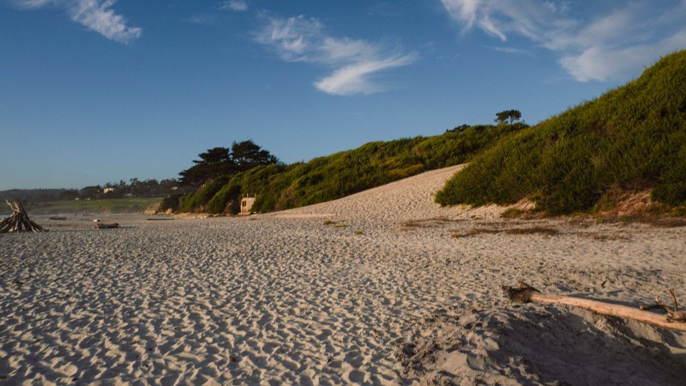 Dune grass and a sandy path leading down to Carmel Beach