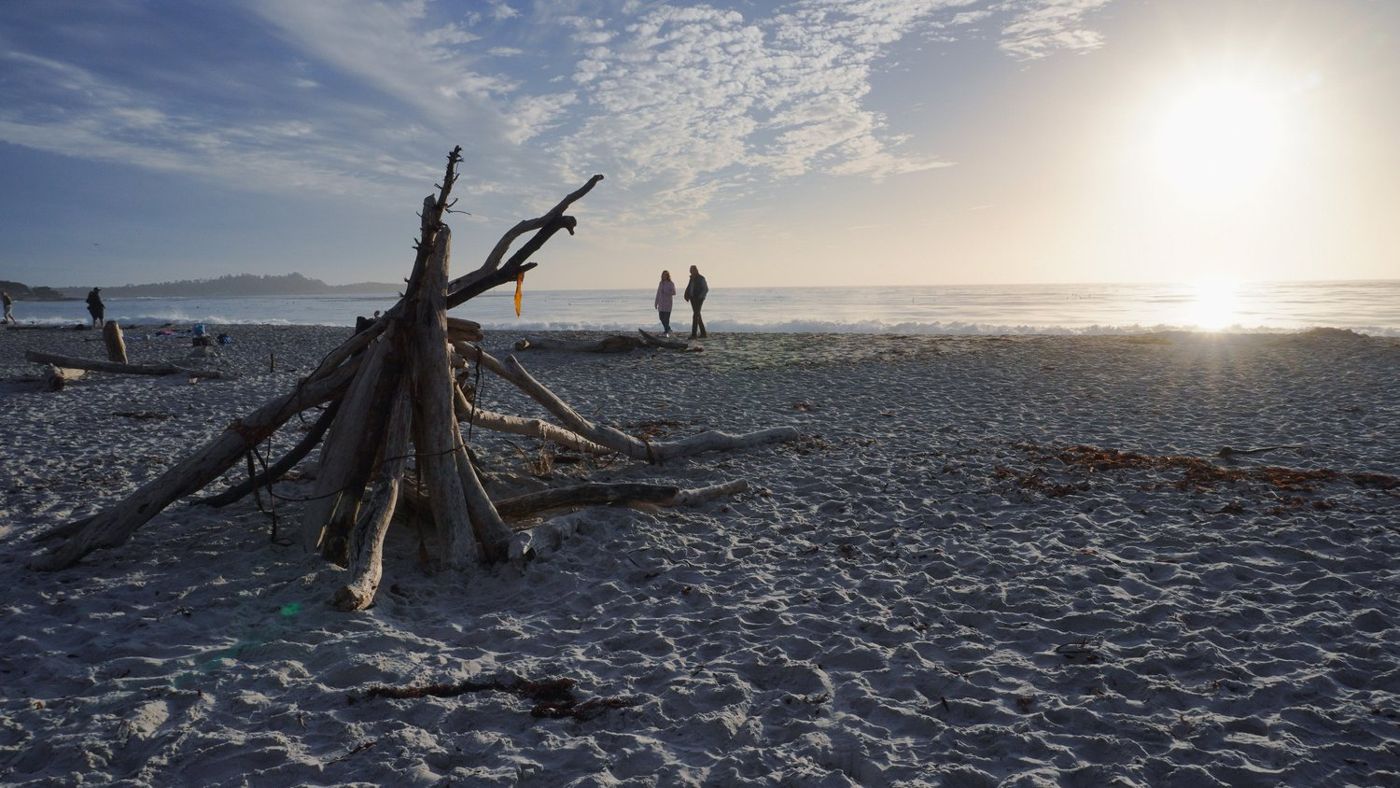 Silhouette of driftwood on the beach at sunset