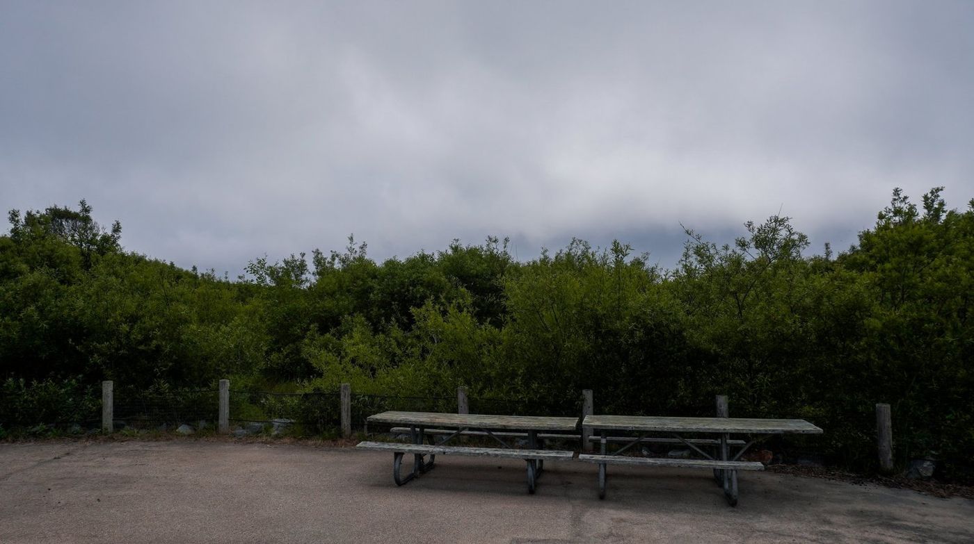 A picnic table on a bluff surrounded by coastal shrubs