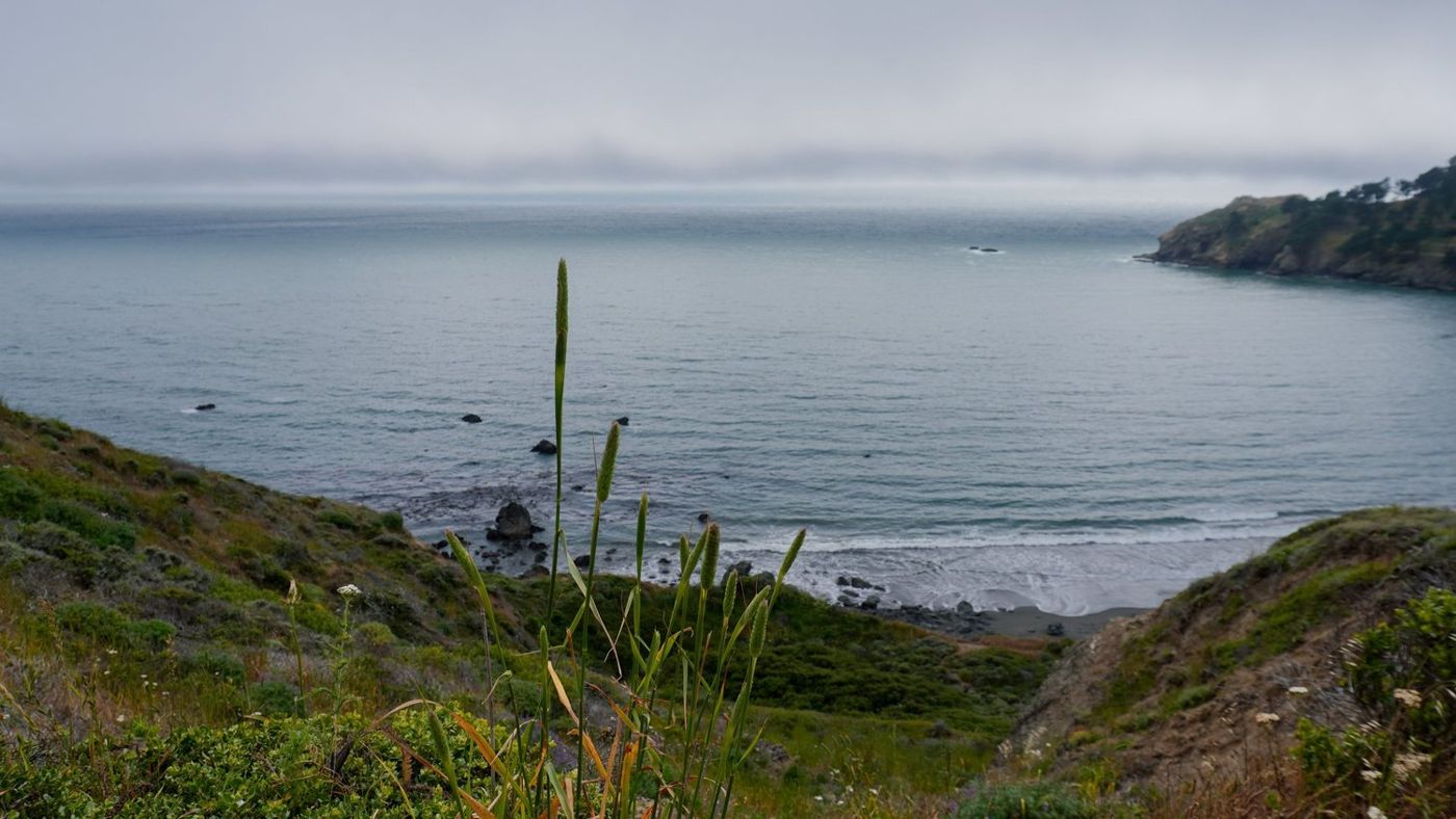 View of the cove and headlands from the overlook