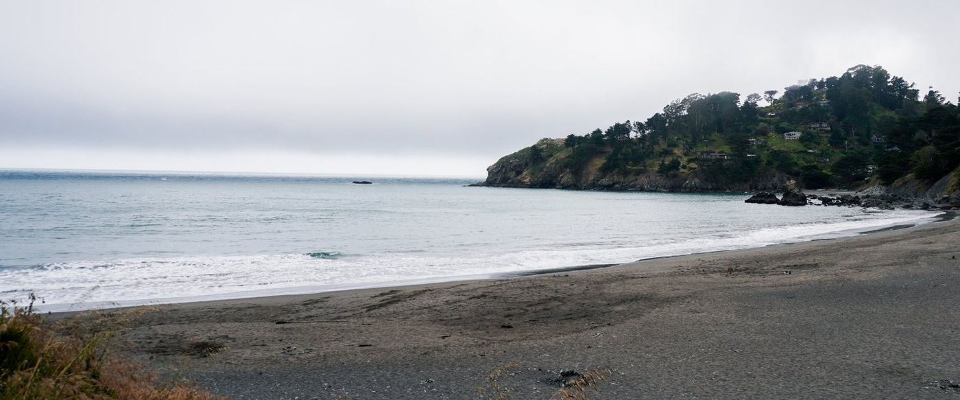Muir Beach shoreline framed by coastal shrubs