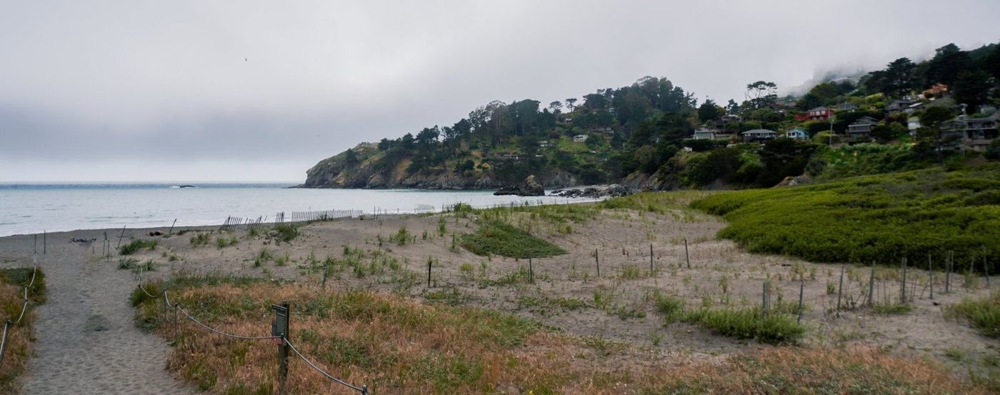 Trail leading down toward the beach at Muir Beach