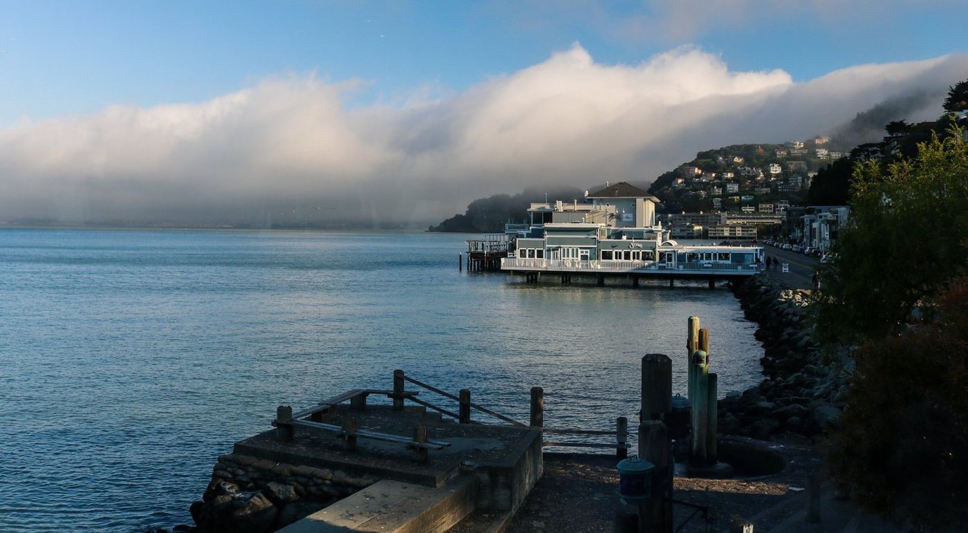 The Sausalito harbor with a ferry docked near the pier at dawn
